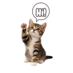 ChatGPT Image 2026. jan. 23. 11_32_47 (2)